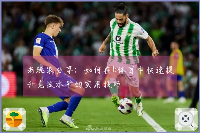老玩家分享：如何在b体育中快速提升竞技水平的实用技巧