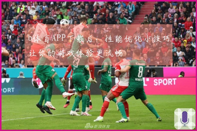 b体育APP下载后，性能优化小技巧让你的游戏体验更流畅